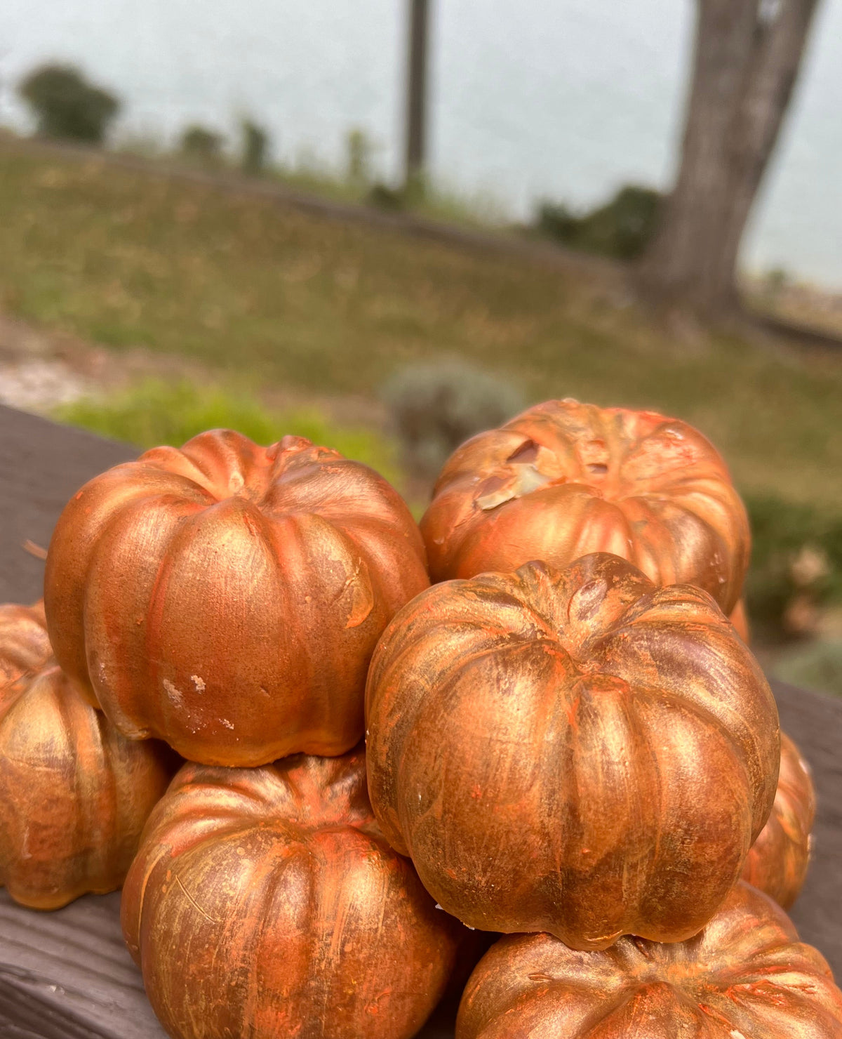 Pumpkin Patch Pumpkin Soap – 3oz
