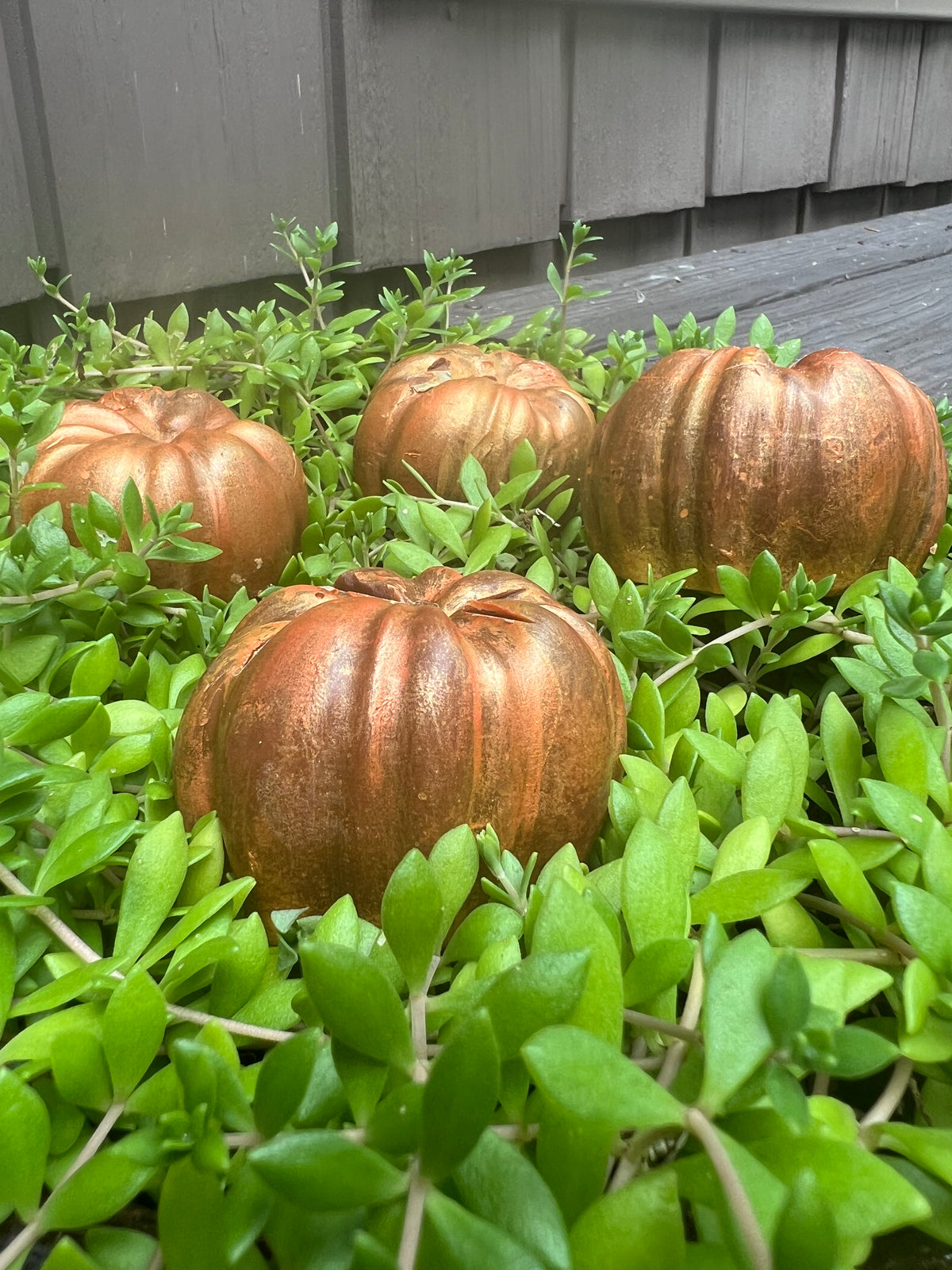 Pumpkin Patch Pumpkin Soap – 3oz